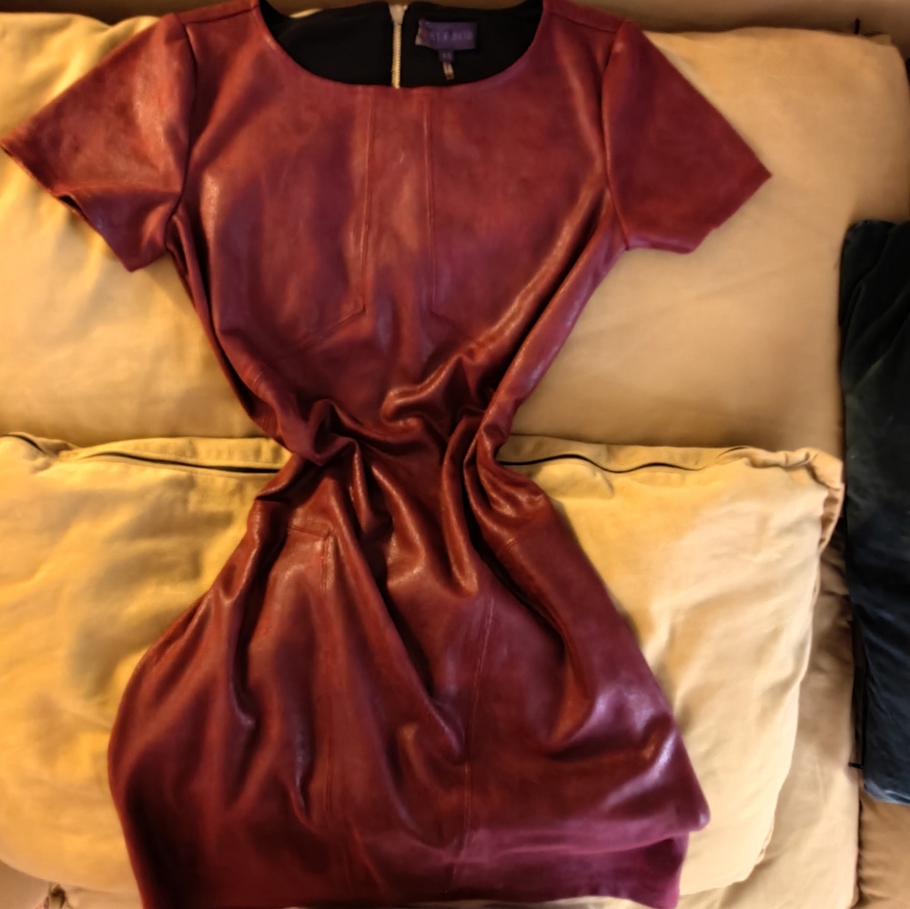 Hale Bob Faux Suede Burgundy Short Sleeve Dress - Picture 4 of 10
